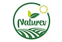 Nokta Art: Google Reklam - Sosyal Medya - SEO - Web Tasarım