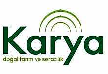 Nokta Art: Google Reklam - Sosyal Medya - SEO - Web Tasarım