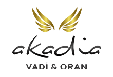 Nokta Art: Google Reklam - Sosyal Medya - SEO - Web Tasarım