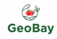 Nokta Art: Google Reklam - Sosyal Medya - SEO - Web Tasarım