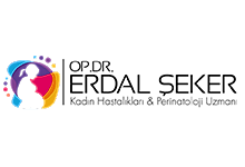 Nokta Art: Google Reklam - Sosyal Medya - SEO - Web Tasarım