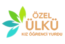 Nokta Art: Google Reklam - Sosyal Medya - SEO - Web Tasarım