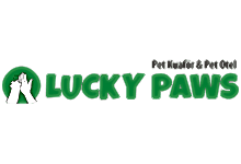 Nokta Art: Google Reklam - Sosyal Medya - SEO - Web Tasarım