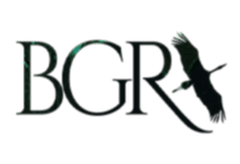 Nokta Art: Google Reklam - Sosyal Medya - SEO - Web Tasarım