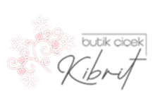 Nokta Art: Google Reklam - Sosyal Medya - SEO - Web Tasarım