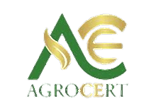 Nokta Art: Google Reklam - Sosyal Medya - SEO - Web Tasarım